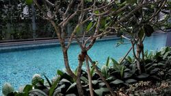 Altez (D2), Apartment #459333491